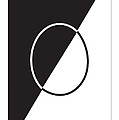 010  Opposites by Cheryl Turner