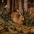 A Hare In The Forest by Hans Hoffmann A Hare In The Forest by Hans Hoffmann