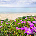 Aegean sea coast in Greece 1 Photograph by Elena Elisseeva Aegean sea coast in Greece 1 Photograph by Elena Elisseeva