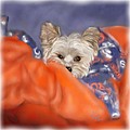Bronco Maggie Painting by Colleen Taylor Bronco Maggie Painting by Colleen Taylor