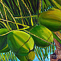 Coconuts at sunset Painting by Laura Forde Coconuts at sunset Painting by Laura Forde