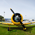 North American T-6 Texan Photograph by Pablo Lopez North American T-6 Texan Photograph by Pablo Lopez