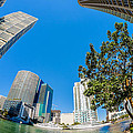Downtown Miami Fisheye Photograph by Raul Rodriguez Downtown Miami Fisheye Photograph by Raul Rodriguez