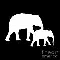 Elephants in Black and White Digital Art by Jackie Farnsworth Elephants in Black and White Digital Art by Jackie Farnsworth