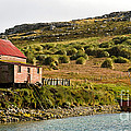 Falkland Island Farm #1 Photograph by John Shaw