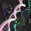 Genetic Engineering, Conceptual by Ella Marus Studio Genetic Engineering, Conceptual by Ella Marus Studio