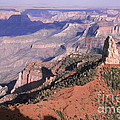 Grand Canyon Photograph by Mark Newman Grand Canyon Photograph by Mark Newman