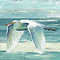Great Egret II by Patricia Pinto Great Egret II by Patricia Pinto