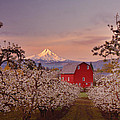 Hood River Sunrise Photograph by Darren White Hood River Sunrise Photograph by Darren White