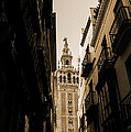 La Giralda - Seville Spain Photograph by AM FineArtPrints La Giralda - Seville Spain Photograph by AM FineArtPrints