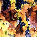 Late Harvest 3 by Maria Hunt