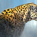 Leopard #2 Digital Art by Aaron Blaise