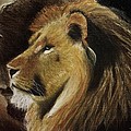 Lion of Judah Pastel by Dale Bradley Lion of Judah Pastel by Dale Bradley