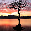 Loch Lomond Sunset Photograph by Grant Glendinning Loch Lomond Sunset Photograph by Grant Glendinning