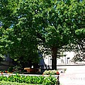 National Gallery of Art Photograph by Kenny Glover National Gallery of Art Photograph by Kenny Glover