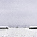 Old Friends by Scott Norris Old Friends by Scott Norris