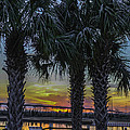 Palmetto Sunset by Dale Powell Palmetto Sunset by Dale Powell