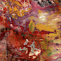 Petrified Wood Detail by Yva Momatiuk John Eastcott Petrified Wood Detail by Yva Momatiuk John Eastcott