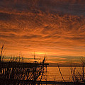 Golden Sunrise Over Myrtle Beach Pier Coastal South Carolina Wall Art by Bob Pardue by Bob Pardue