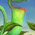 Pitcher Plant Painting by Michelle Bien Pitcher Plant Painting by Michelle Bien