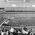 Ralph Wilson Stadium - Home of the Buffalo Bills Photograph by Mountain Dreams