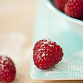 Raspberries Sprinkled With Sugar Photograph by Jim Corwin Raspberries Sprinkled With Sugar Photograph by Jim Corwin