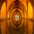 Reflection of Perfection Photograph by AM FineArtPrints Reflection of Perfection Photograph by AM FineArtPrints