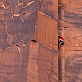 Rock Climber Indian Creek Utah Photograph by Yva Momatiuk John Eastcott Rock Climber Indian Creek Utah Photograph by Yva Momatiuk John Eastcott