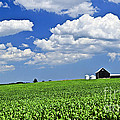 Rural landscape 2 Photograph by Elena Elisseeva Rural landscape 2 Photograph by Elena Elisseeva