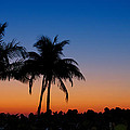 Sanibel Island Florida Sunset #1 Photograph by Robert Bellomy