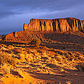 Sentinel Sunrise Photograph by Tom Daniel