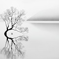 Serenity #1 Photograph by Neville Jones