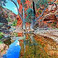 Serpentine Gorge Central Australia Photograph by Bill Robinson Serpentine Gorge Central Australia Photograph by Bill Robinson