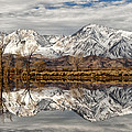 Sierra Reflections by Cat Connor Sierra Reflections by Cat Connor