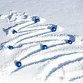Snow Tree by Juli Scalzi Snow Tree by Juli Scalzi