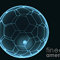 Soccer Ball X-ray Photograph by Eurelios Soccer Ball X-ray Photograph by Eurelios