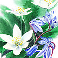 Spring Flowers by Irina Sztukowski Spring Flowers by Irina Sztukowski