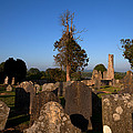 St Marys Augustinian Abbey, Ferns by Panoramic Images St Marys Augustinian Abbey, Ferns by Panoramic Images