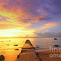 Sunset Photograph by Amanda Mohler Sunset Photograph by Amanda Mohler