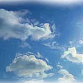 Sunshiny Day by Rhonda Barrett Sunshiny Day by Rhonda Barrett