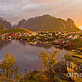 The day begins in Reine Photograph by Heiko Koehrer-Wagner The day begins in Reine Photograph by Heiko Koehrer-Wagner