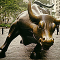 The Wall Street Bull Photograph by Mountain Dreams The Wall Street Bull Photograph by Mountain Dreams