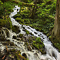 Wahkeena Creek by Mary Jo Allen Wahkeena Creek by Mary Jo Allen