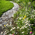 Wildflower garden and path to gazebo 1 by Elena Elisseeva