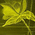 Yellow Negative Wood Flower by Rob Hans Yellow Negative Wood Flower by Rob Hans