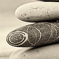 zen by Stelios Kleanthous zen by Stelios Kleanthous