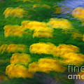 10- Springtime Photograph by Joseph Keane 10- Springtime Photograph by Joseph Keane
