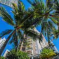 Downtown Miami Photograph by Raul Rodriguez Downtown Miami Photograph by Raul Rodriguez