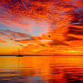 Florida Keys Photograph by Raul Rodriguez Florida Keys Photograph by Raul Rodriguez