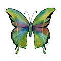 11 Prism Butterfly Painting by Amy Kirkpatrick 11 Prism Butterfly Painting by Amy Kirkpatrick